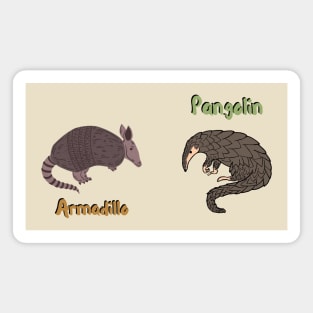 Armadillo Pangolin Magnet